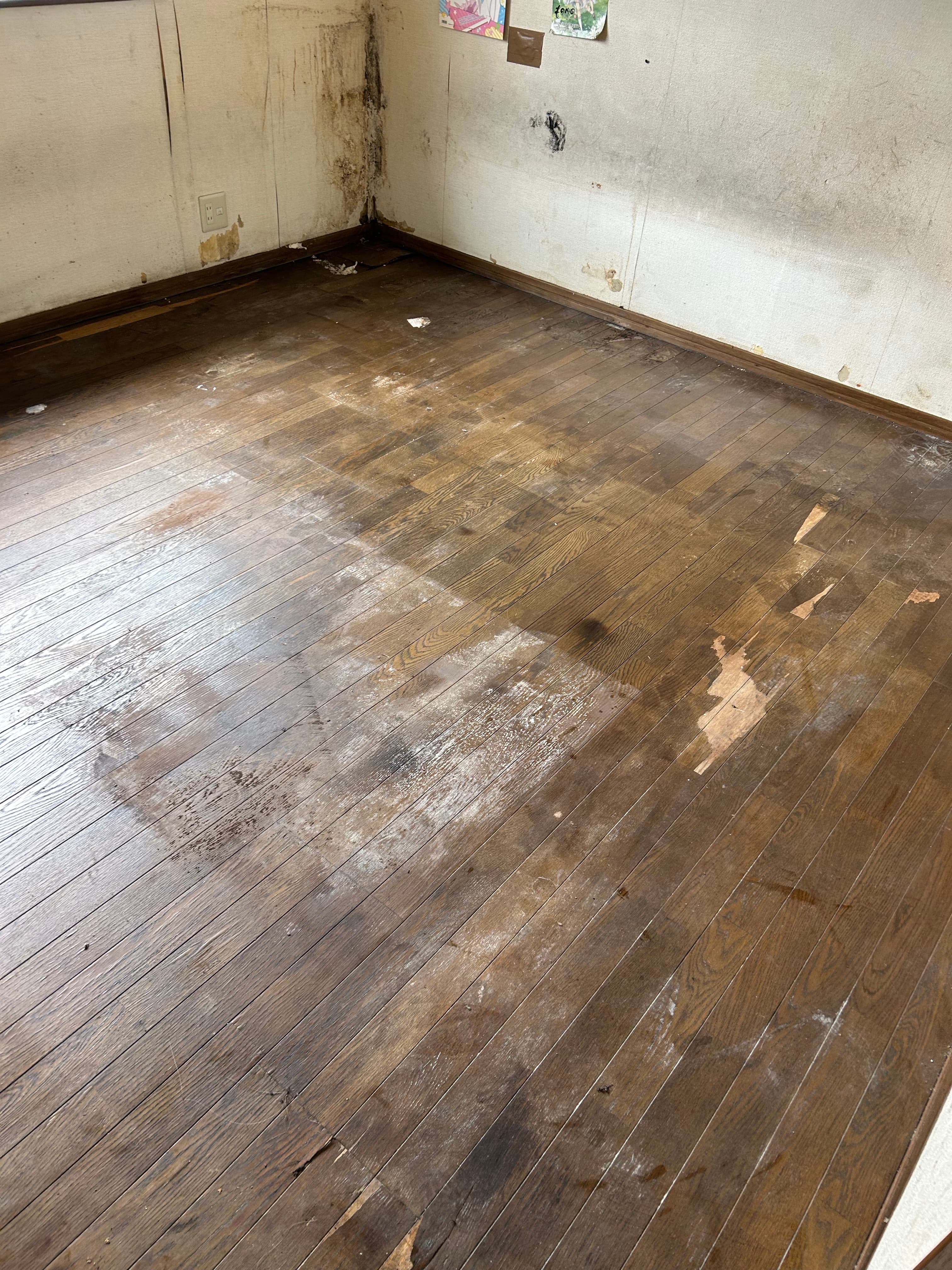 岡山市 B様邸（ゴミ屋敷片付け） After